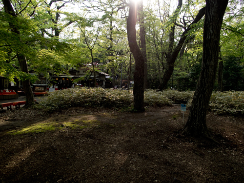 神代植物公園の休憩所の高画質画像