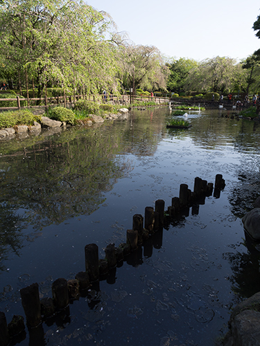 日本庭園、馬事公苑 1の高画質画像