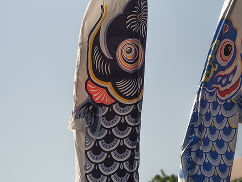 鯉のぼり、大蔵公園 1の高画質画像