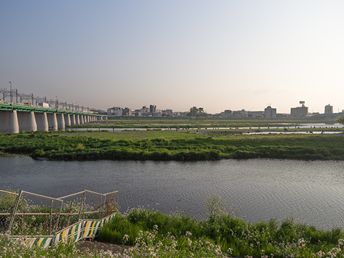 多摩川の自然 1の高画質画像
