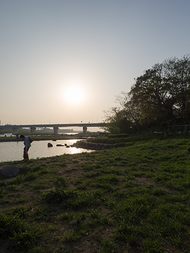 夕暮れの多摩川 1の高画質画像