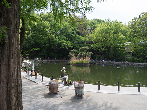 赤塚溜池公園 1の高画質画像
