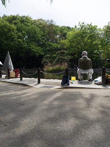 赤塚溜池公園 2の高画質画像