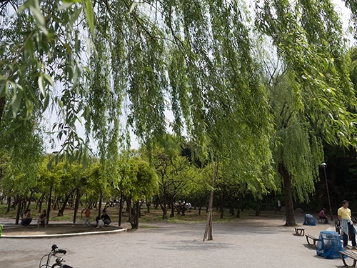 赤塚溜池公園 3の高画質画像