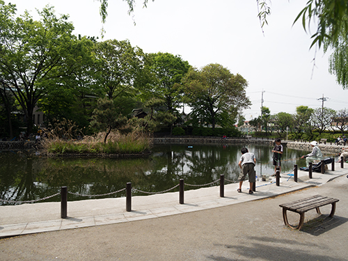 赤塚溜池公園 4の高画質画像