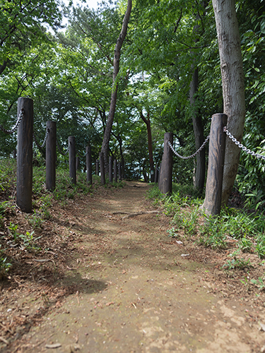 赤塚公園周辺 1の高画質画像