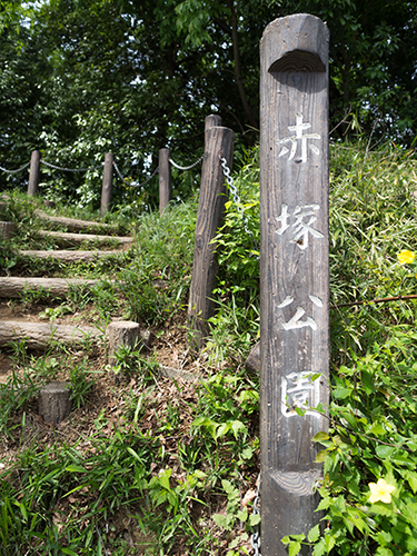 赤塚公園周辺 4の高画質画像