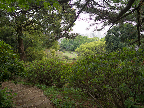 庭園、小石川植物園 1の高画質画像