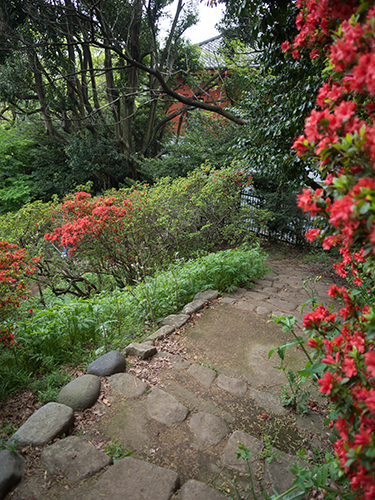 庭園、小石川植物園の高画質画像