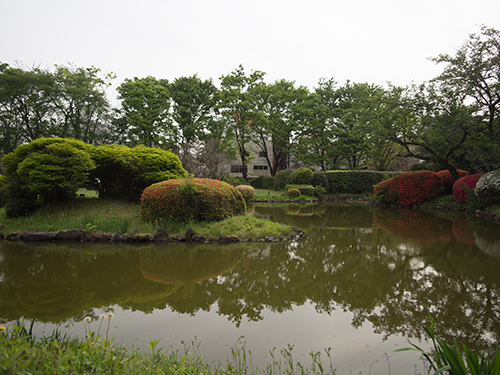 池、小石川植物園 1の高画質画像