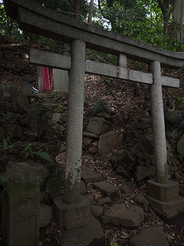 鳥居、小石川植物園 1の高画質画像