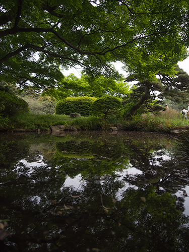 池、小石川植物園 3の高画質画像