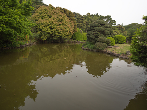 池、小石川植物園の高画質画像