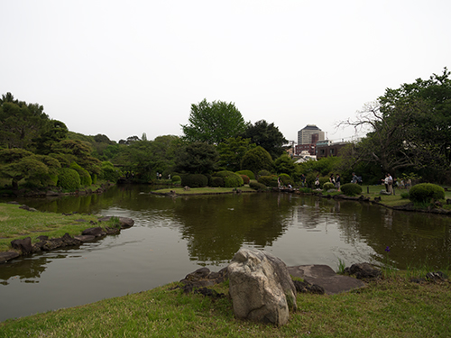 東京大学大学院理学系研究科附属植物園 1の高画質画像