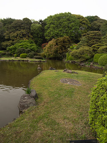 小石川植物園 35の高画質画像