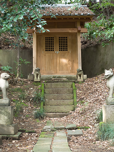 祭壇、小石川植物園の高画質画像
