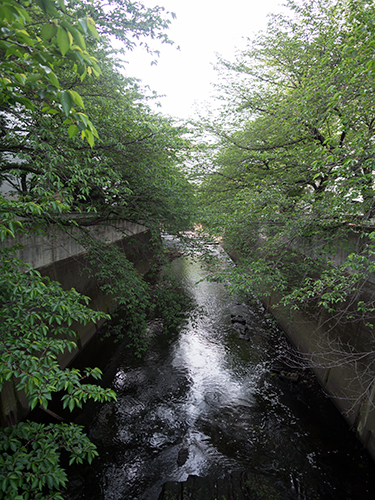 曙橋、神田川 1の高画質画像