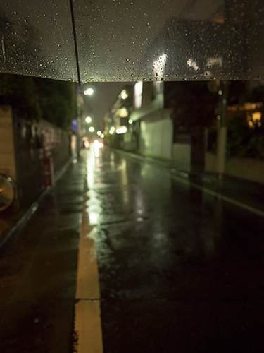 雨が降った夜道 1の高画質画像