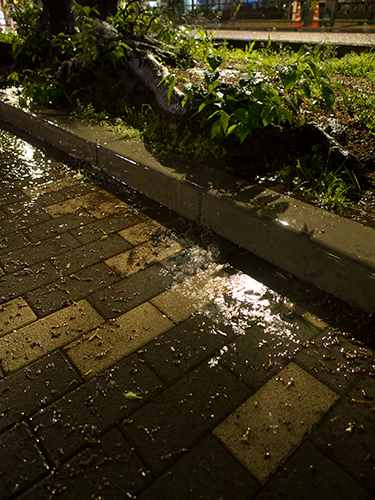 雨が降った夜道 4の高画質画像