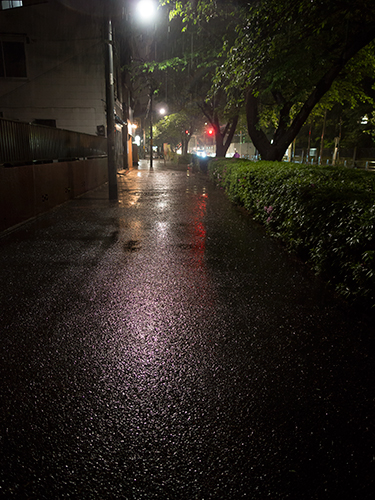 雨が降った夜道 6の高画質画像