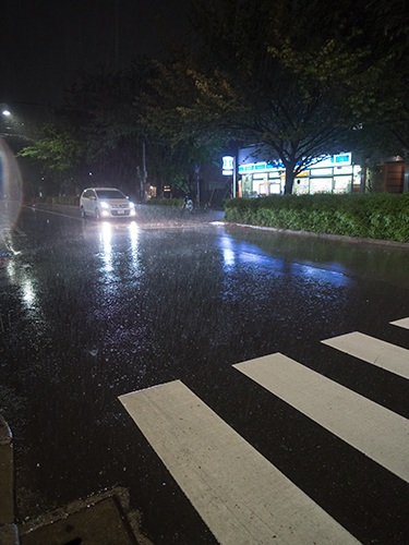 雨が降った夜道 12の高画質画像