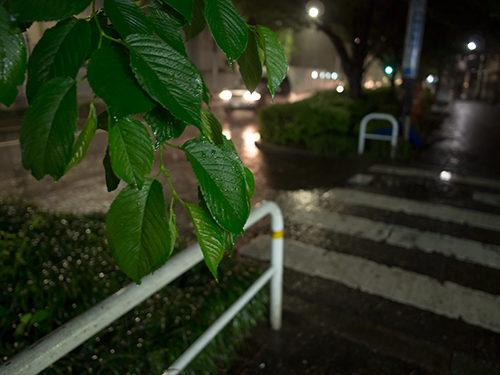 雨が降った夜道 13の高画質画像