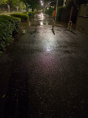 雨が降った夜道 17の高画質画像