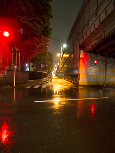 雨が降った夜道 18の高画質画像