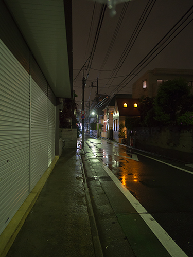 雨が降った夜道 27の高画質画像