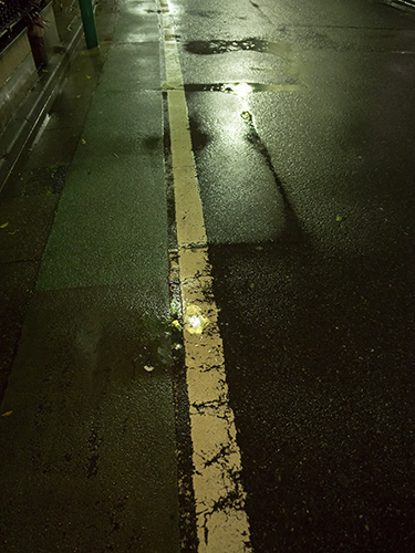 雨が降った夜道 31の高画質画像