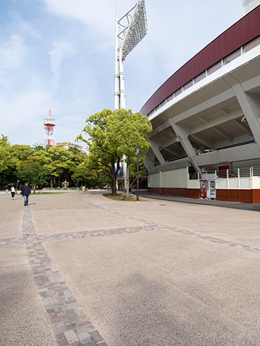 横浜公園、横浜スタジアム近く 5の高画質画像