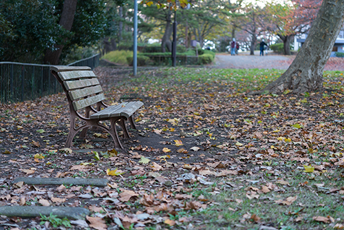 落ち葉とベンチの高画質画像