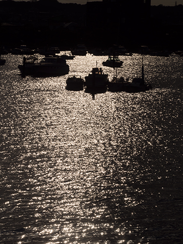 夕方の海 1の高画質画像