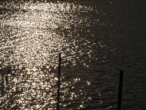 夕方の海の高画質画像