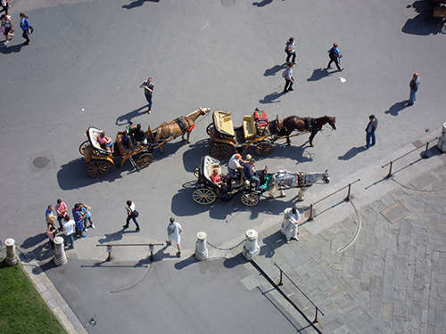 ピサのドゥオモ広場の高画質画像