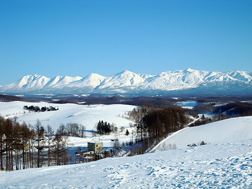冬の四季彩の丘 1の高画質画像