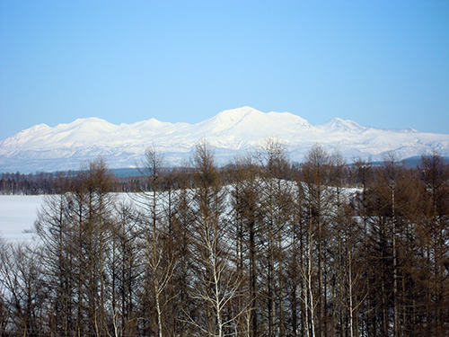 冬の四季彩の丘 2の高画質画像