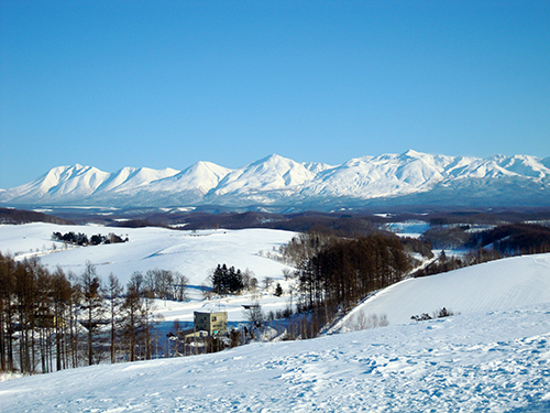 冬の四季彩の丘 3の高画質画像