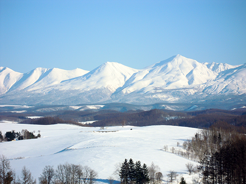 冬の四季彩の丘 4の高画質画像