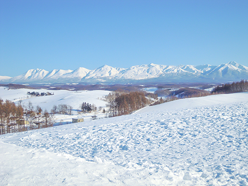 冬の景色の高画質画像