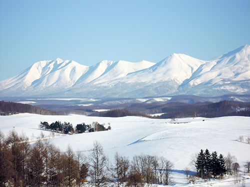 冬の景色 1の高画質画像