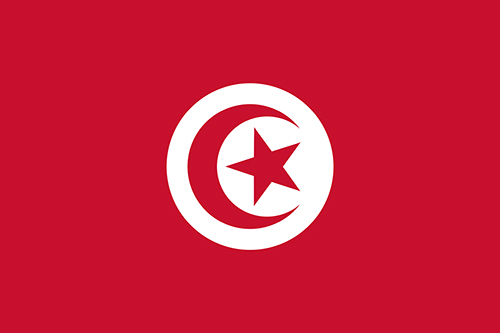 チュニジアの国旗の高画質画像