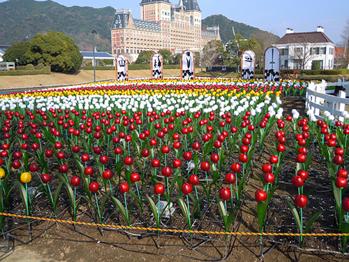お花畑、長崎県佐世保市の高画質画像