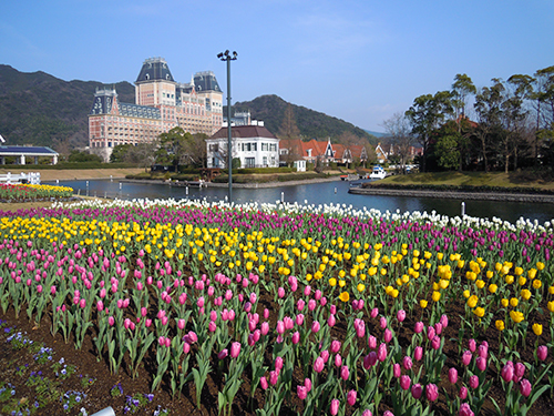 お花畑、長崎県佐世保市 2の高画質画像