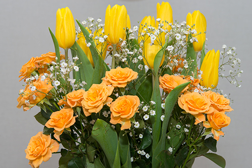 黄色い切り花の高画質画像