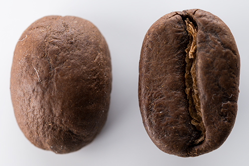 コーヒー豆 18の高画質画像