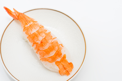 海老のお寿司の高画質画像