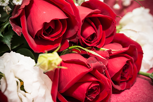 赤いバラの花束 2の高画質画像