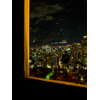 東京タワー、大展望台からの眺め 12