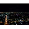 東京タワー、特別展望台からの眺め 11